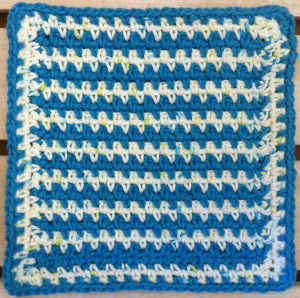 FD025 Rapid Blue Dishcloth_800