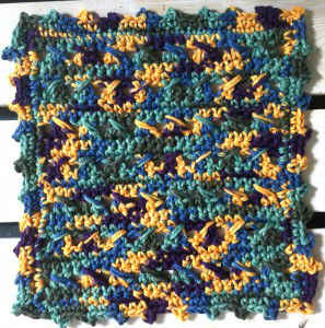 FD038 Two Steps Forward Dishcloth CB_800