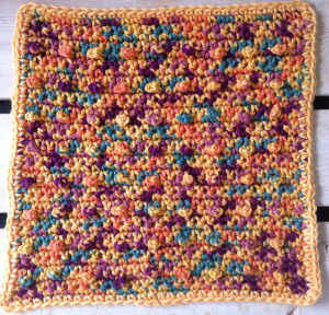 FD041 Nubby Dishcloth_800