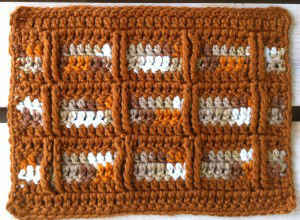 FD048 Windows Dishcloth_800