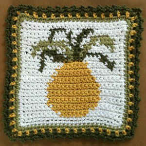 FD077 Pineapple Dishcloth_edited-1