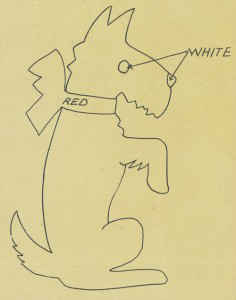 FP328 ScottyGraphic500