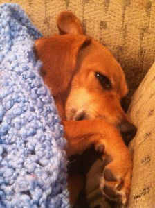 Annabelle-Snowstorm-2011