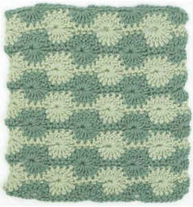 Dishcloth 11