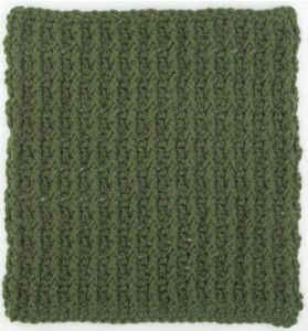 Dishcloth 4