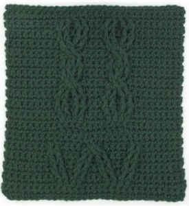 Dishcloth 5