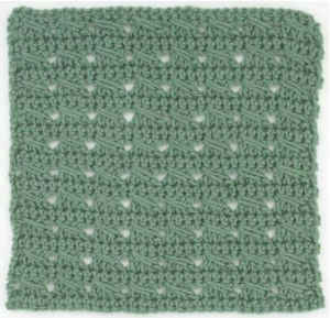 Dishcloth 6